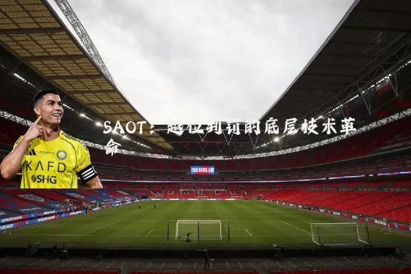 SAOT：越位判罚的底层技术革命